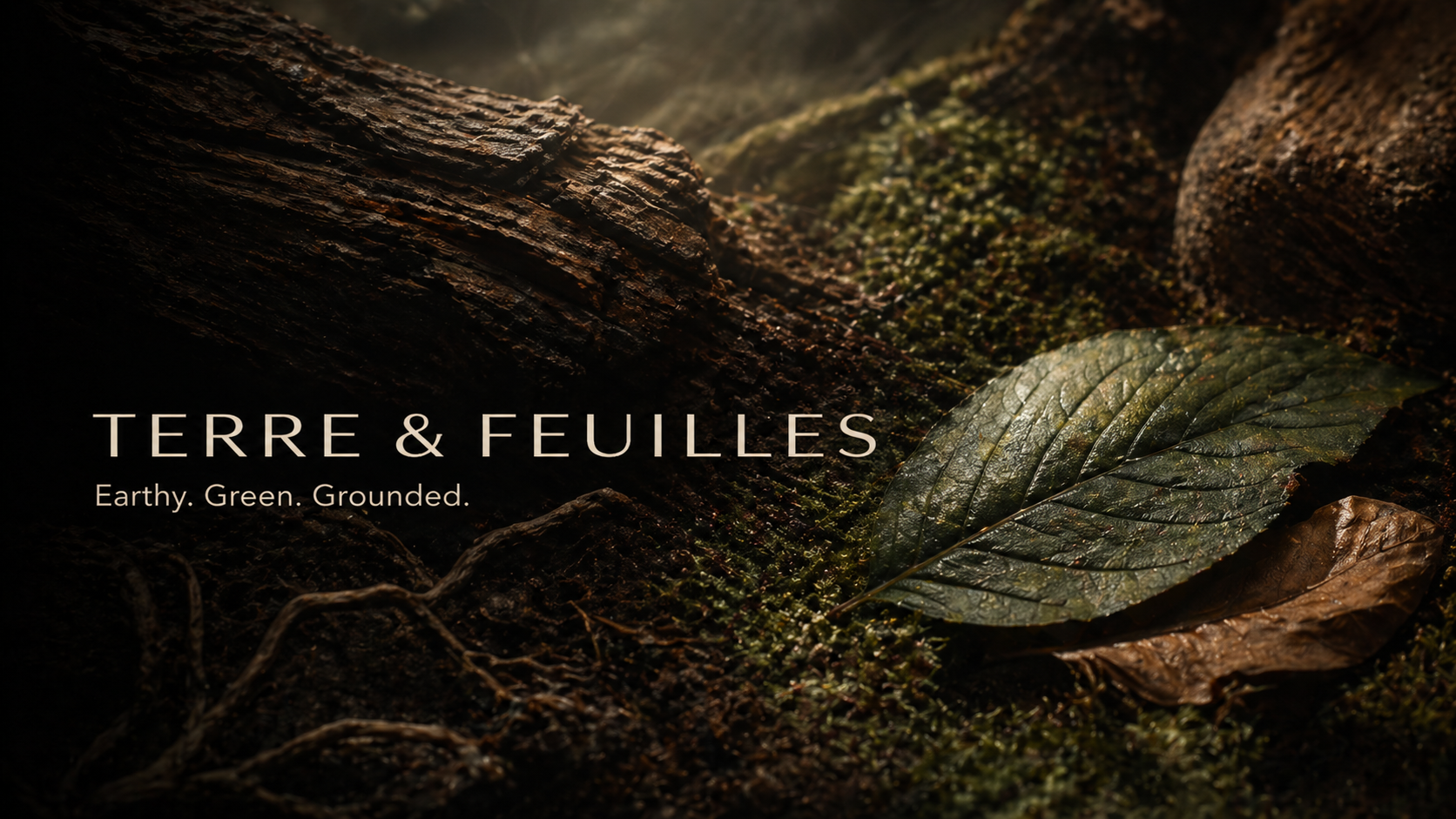 TERRE & FEUILLES