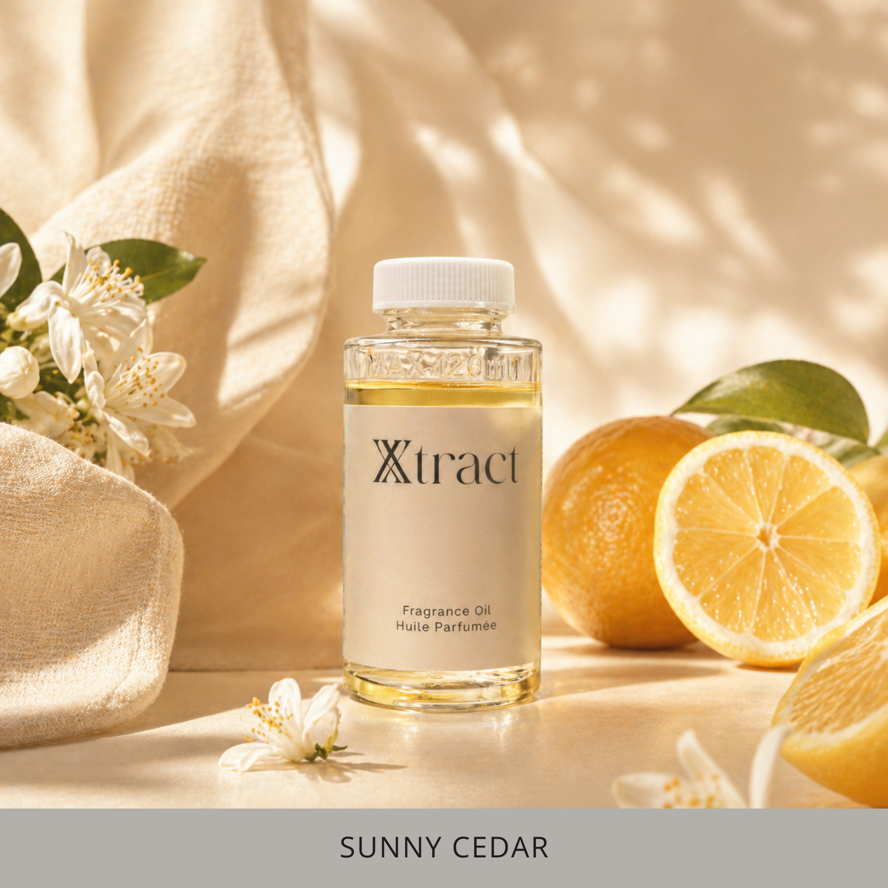 Xtract - Fragrance Refill Nebu - Sunny Cedar - 120 ml
